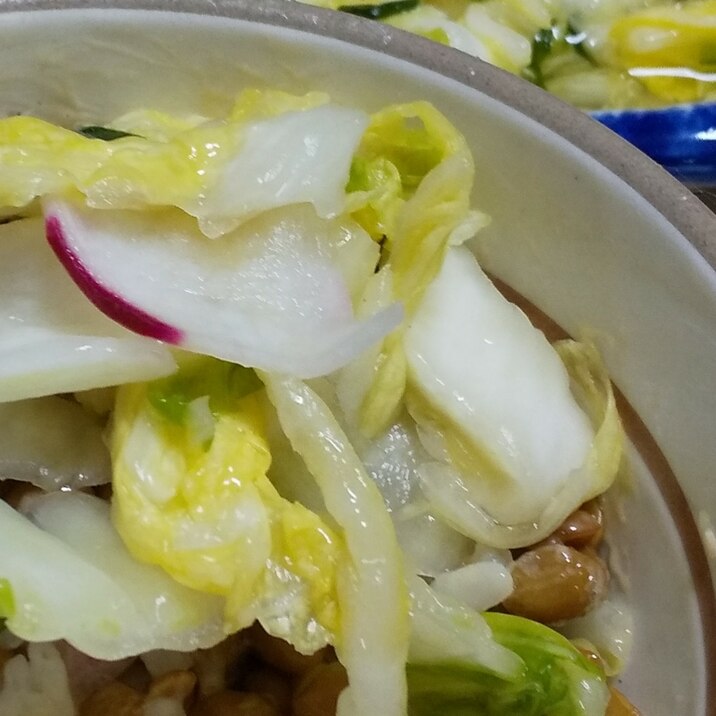 納豆ごはんアレンジ 超簡単！至高の白菜漬け物納豆